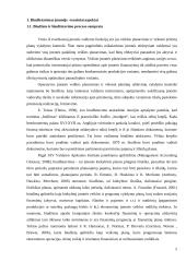 Biudžetavimas įmonėje ir strateginis planavimas  5 puslapis