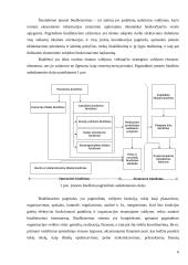 Biudžetavimas įmonėje ir strateginis planavimas  6 puslapis