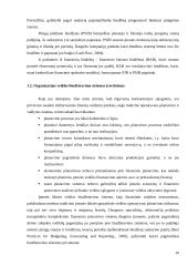 Biudžetavimas įmonėje ir strateginis planavimas  10 puslapis