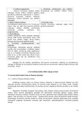 Investicinių fondų veiklos teoriniai aspektai 13 puslapis