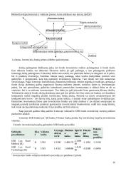Investicinių fondų veiklos teoriniai aspektai 20 puslapis