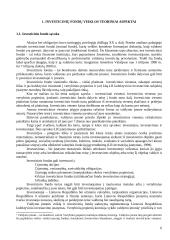 Investicinių fondų veiklos teoriniai aspektai 6 puslapis