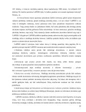 Pensijų fondų įtaka finansams 12 puslapis