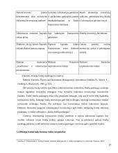 Pensijų fondų įtaka finansų sistemai 17 puslapis