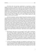 An analysis of credit union microfinance performance in Ecuador 2 puslapis