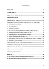 Lietuvos ūkio (ekonomikos) plėtros iki 2015 metų ilgalaikė strategija 2 puslapis