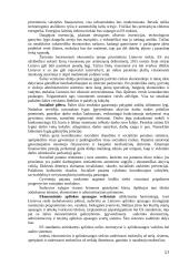 Lietuvos ūkio (ekonomikos) plėtros iki 2015 metų ilgalaikė strategija 17 puslapis