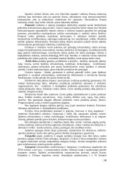 Lietuvos ūkio (ekonomikos) plėtros iki 2015 metų ilgalaikė strategija 19 puslapis