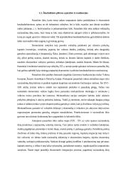 Tarptautinė prekyba Panevėžio regione 13 puslapis