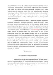 Tarptautinė prekyba Panevėžio regione 15 puslapis