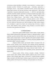 Tarptautinė prekyba Panevėžio regione 9 puslapis