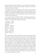 Tarptautinio verslo aplinkos veiksniai, jų tyrimas bei vaidmuo Europos verslo plėtrai 8 puslapis