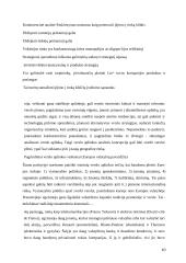 Tarptautinio verslo aplinkos veiksniai, jų tyrimas bei vaidmuo Europos verslo plėtrai 10 puslapis