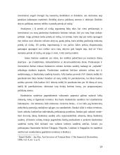 Išankstiniai ir ateities sandoriai 13 puslapis