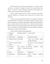 Išankstiniai ir ateities sandoriai 20 puslapis