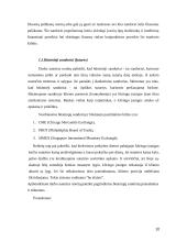 Išankstiniai ir ateities sandoriai 10 puslapis