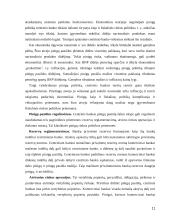 Pinigų rinkos politika 11 puslapis