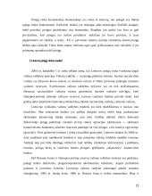 Pinigų rinkos politika 13 puslapis