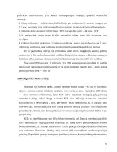 Pinigų rinkos politika 15 puslapis