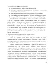 Pinigų rinkos politika 16 puslapis