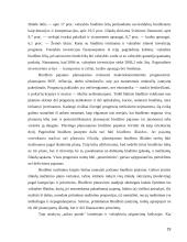 Pinigų rinkos politika 19 puslapis