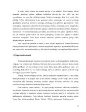 Pinigų rinkos politika 6 puslapis