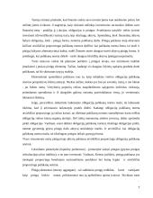 Pinigų rinkos politika 7 puslapis