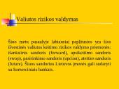 Pasaulio valiutų rinka 8 puslapis