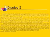 Pasaulio valiutų rinka 10 puslapis