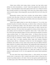 Užsienio valiutų rinka 11 puslapis