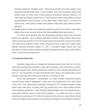 Užsienio valiutų rinka 14 puslapis