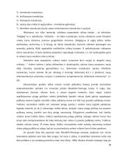 Užsienio valiutų rinka 16 puslapis