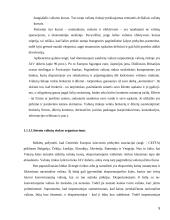 Užsienio valiutų rinka 5 puslapis