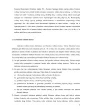 Užsienio valiutų rinka 7 puslapis