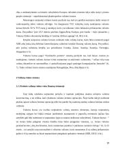 Užsienio valiutų rinka 10 puslapis