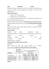 Valiutos keitimo sandorių rūšys 11 puslapis