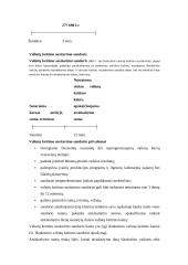 Valiutos keitimo sandorių rūšys 5 puslapis