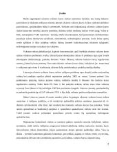 Valiutos kurso rizika 2 puslapis