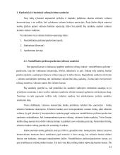 Valiutos kurso rizika 11 puslapis