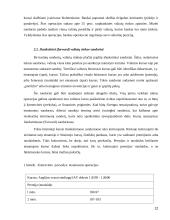 Valiutos kurso rizika 12 puslapis