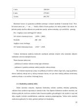 Valiutos kurso rizika 13 puslapis