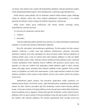 Valiutos kurso rizika 15 puslapis