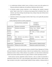 Valiutos kurso rizika 17 puslapis