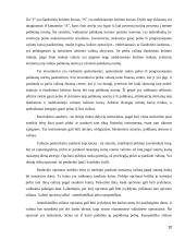 Valiutos kurso rizika 20 puslapis