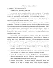 Valiutos kurso rizika 4 puslapis