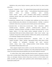 Valiutos kurso rizika 6 puslapis