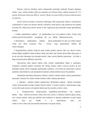 Valiutos kurso rizika 7 puslapis