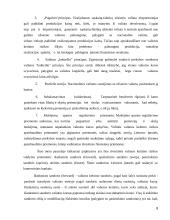 Valiutos kurso rizika 8 puslapis