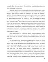 Valiutos kurso rizika 9 puslapis