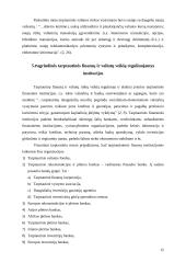 Valiutų kursai ir tarptautinė valiutų rinka 15 puslapis